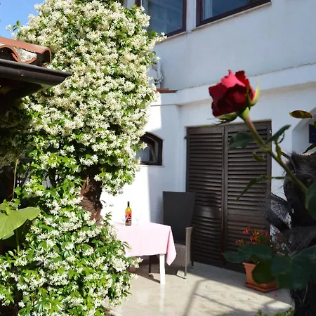 Apartment Mira Porec